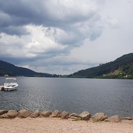 Gerardmer La Villa De Corcieux Buitenkant foto